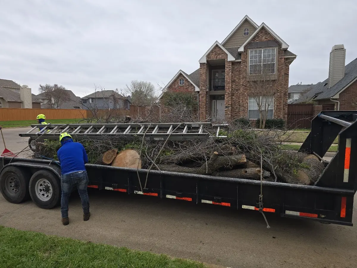 Expert Tree Fertilization with proper safety equipment in New Albany
